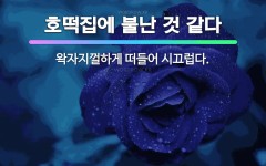 🌟호떡집에 불난 것 같다: 왁자지껄하게 떠들어 시끄럽다. - 표준국어대사전