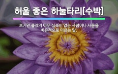 🌟허울 좋은 하눌타리[수박]: 보기만 좋았지 아무 실속이 없는 사람이나 사물을 비유적으로 이르는 말. - 표준국어대사전