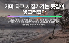 🌟가마 타고 시집가기는 (다) 틀렸다: 시집을 갈 때 으레 가마를 타고 가는 것이나 그 격식을 좇아서 하지... - 표준국어대사전