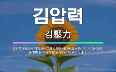 🌟김압력: 일정한 온도에서 액체 또는 고체와 평형 상태에 있는 증기가 가지는 압력. 밀리미터(mm) 또는 ... - 표준국어대사전