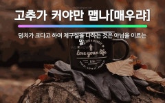 🌟삼촌 못난이 조카 장물 짐 진다: 못난 삼촌이 조카가 훔친 물건을 지고 따라간다는 뜻으로, 덩치는 큰 사... - 표준국어대사전