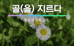 🌟골(을) 지르다: 밭을 세 번째 갈다. - 표준국어대사전
