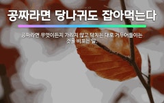 🌟당나귀 새낀가 보다 술 때 아는 걸 보니: 술 잘 먹는 사람이 술 먹을 때를 용하게 알아서 오는 경우를 ... - 표준국어대사전