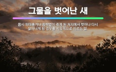 🌟그물을 벗어난 새: 몹시 위태롭거나 꼼짝없이 죽게 된 처지에서 벗어나 다시 살아나게 된 경우를 비유적으로... - 표준국어대사전