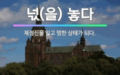 🌟넋(을) 놓다: 제정신을 잃고 멍한 상태가 되다. - 표준국어대사전