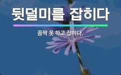 🌟뒷덜미를 잡히다: 꼼짝 못 하고 잡히다. - 표준국어대사전