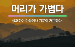 🌟머리가 가볍다: 상쾌하여 마음이나 기분이 거뜬하다. - 표준국어대사전
