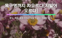 🌟목구멍까지 차오르다[치밀어 오르다]: 분노, 욕망, 충동 따위가 참을 수 없는 지경이 되다. - 표준국어대사전