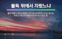 🌟물독 뒤에서 자랐느냐: 물독 뒤에서 자라서 멋없이 키만 호리호리하게 크다는 뜻으로, 마르고 키만 큰 사람... - 표준국어대사전