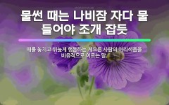 🌟물썬 때는 나비잠 자다 물 들어야 조개 잡듯: 때를 놓치고 뒤늦게 행동하는 게으른 사람의 어리석음을 비유... - 표준국어대사전