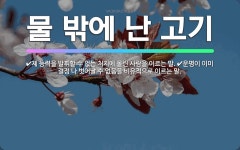 🌟물 밖에 난 고기: 제 능력을 발휘할 수 없는 처지에 몰린 사람을 이르는 말., 운명이 이미 결정 나 벗... - 표준국어대사전