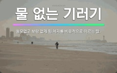 🌟물 없는 기러기: 쓸모없고 보람 없게 된 처지를 비유적으로 이르는 말. - 표준국어대사전