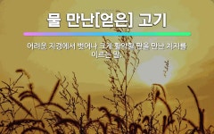 🌟물 만난[얻은] 고기: 어려운 지경에서 벗어나 크게 활약할 판을 만난 처지를 이르는 말. - 표준국어대사전