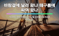 🌟바람결에 날려 왔나 떼구름에 싸여 왔나: 기다리던 것이 뜻밖에 나타났을 경우를 비유적으로 이르는 말. - 표준국어대사전