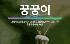 🌟꿍꿍이: 남에게 드러내 보이지 아니하고 속으로만 어떤 일을 꾸며 우물쭈물하는 속셈. - 표준국어대사전