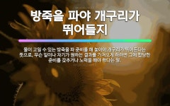 🌟제터 방죽에 줄남생이 늘어앉듯: 많은 사람이 열을 지어 늘어앉은 모양을 비유적으로 이르는 말. - 표준국어대사전