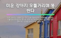 🌟미운 강아지 우쭐거리며 똥 싼다: 미운 강아지는 조용히 있는 것도 눈에 거슬리는데 오히려 똥을 싸면서도 ... - 표준국어대사전
