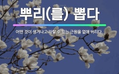 🌟뿌리(를) 뽑다: 어떤 것이 생겨나고 자랄 수 있는 근원을 없애 버리다. - 표준국어대사전