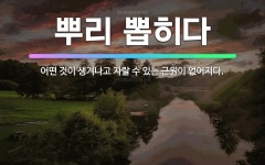 🌟뿌리 뽑히다: 어떤 것이 생겨나고 자랄 수 있는 근원이 없어지다. - 표준국어대사전