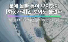 🌟불에 놀란 놈이 부지깽이[화젓가락]만 보아도 놀란다: 어떤 사물에 몹시 놀란 사람은 비슷한 사물만 보아도... - 표준국어대사전