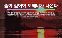 🌟숲이 깊어야 도깨비가 나온다: 자기에게 덕망이 있어야 사람들이 따르게 됨을 비유적으로 이르는 말., 일정... - 표준국어대사전