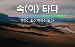 🌟속(이) 타다: 걱정이 되어 마음이 달다. - 표준국어대사전