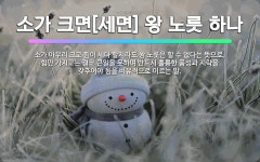 🌟소가 크면[세면] 왕 노릇 하나: 소가 아무리 크고 힘이 세다 할지라도 왕 노릇은 할 수 없다는 뜻으로,... - 표준국어대사전