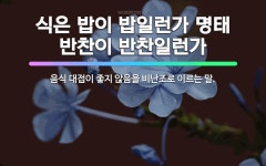 🌟식은 밥이 밥일런가 명태 반찬이 반찬일런가: 음식 대접이 좋지 않음을 비난조로 이르는 말. - 표준국어대사전