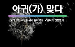 🌟아귀(가) 맞다: 앞뒤가 빈틈없이 들어맞다., 일정한 수량 따위가 들어맞다. - 표준국어대사전