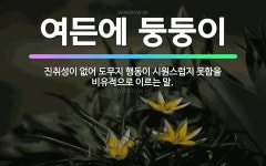 🌟여든에 둥둥이: 진취성이 없어 도무지 행동이 시원스럽지 못함을 비유적으로 이르는 말. - 표준국어대사전