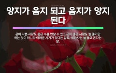 🌟양지가 음지 되고 음지가 양지 된다: 운이 나쁜 사람도 좋은 수를 만날 수 있고 운이 좋은 사람도 늘 좋... - 표준국어대사전