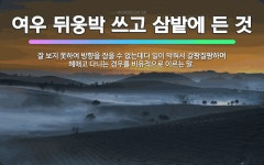 🌟여우 뒤웅박 쓰고 삼밭에 든 것: 잘 보지 못하여 방향을 잡을 수 없는데다 일이 막혀서 갈팡질팡하며 헤매... - 표준국어대사전