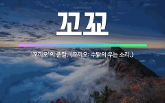 🌟꼬꾜: ‘꼬끼오’의 준말. (꼬끼오: 수탉의 우는 소리.) - 표준국어대사전