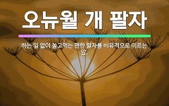 🌟오뉴월 개 팔자: 하는 일 없이 놀고먹는 편한 팔자를 비유적으로 이르는 말. - 표준국어대사전