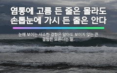 🌟염통에 고름 든 줄은 몰라도 손톱눈에 가시 든 줄은 안다: 눈에 보이는 사소한 결함은 알아도 보이지 않는... - 표준국어대사전
