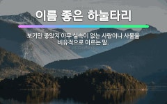 🌟이름 좋은 하눌타리: 보기만 좋았지 아무 실속이 없는 사람이나 사물을 비유적으로 이르는 말. - 표준국어대사전
