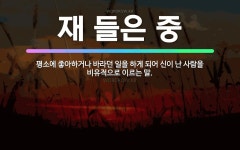🌟재 들은 중: 평소에 좋아하거나 바라던 일을 하게 되어 신이 난 사람을 비유적으로 이르는 말. - 표준국어대사전