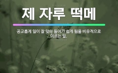 🌟제 자루 떡메: 공교롭게 일이 잘 맞아 들어가 쉽게 됨을 비유적으로 이르는 말. - 표준국어대사전
