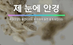 🌟제 눈에 안경: 보잘것없는 물건이라도 제 마음에 들면 좋게 보인다는 말. - 표준국어대사전