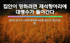 🌟집안이 망하려면 제석항아리에 대평수가 들어간다: 집안의 운수가 나쁘면 뜻밖에 괴상한 일이 다 생긴다는 말. - 표준국어대사전