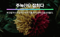 🌟주눅(이) 잡히다: 부끄럽거나 무섭거나 하여 기를 펴지 못하고 움츠러들다. - 표준국어대사전