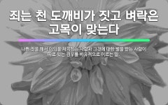 🌟죄는 천 도깨비가 짓고 벼락은 고목이 맞는다: 나쁜 짓을 해서 이익을 차지하는 사람과 그것에 대한 벌을 ... - 표준국어대사전