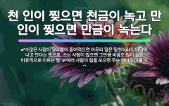 🌟천 인이 찢으면 천금이 녹고 만 인이 찢으면 만금이 녹는다: 수많은 사람이 달라붙어 뜯어먹으면 아무리 많... - 표준국어대사전