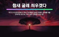🌟참새 굴레 씌우겠다: 약기가 쥐 새끼만큼이나 해서 약삭빠른 참새의 목에다 굴레를 씌울 만하다는 뜻으로, ... - 표준국어대사전