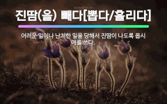 🌟진땀(을) 빼다[뽑다/흘리다]: 어려운 일이나 난처한 일을 당해서 진땀이 나도록 몹시 애를 쓰다. - 표준국어대사전