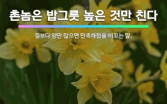 🌟촌놈은 밥그릇 높은 것만 친다: 질보다 양만 많으면 만족해함을 비꼬는 말. - 표준국어대사전