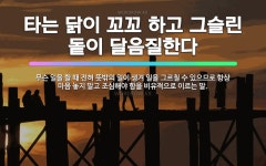 🌟타는 닭이 꼬꼬 하고 그슬린 돝이 달음질한다: 무슨 일을 할 때 전혀 뜻밖의 일이 생겨 일을 그르칠 수 ... - 표준국어대사전