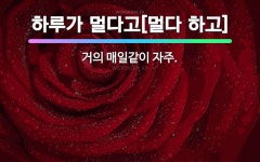 🌟하루가 멀다고[멀다 하고]: 거의 매일같이 자주. - 표준국어대사전