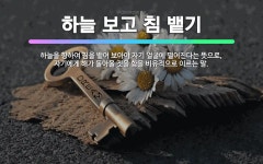 🌟하늘 보고 침 뱉기: 하늘을 향하여 침을 뱉어 보아야 자기 얼굴에 떨어진다는 뜻으로, 자기에게 해가 돌아... - 표준국어대사전
