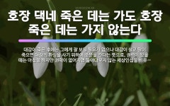 🌟호장 댁네 죽은 데는 가도 호장 죽은 데는 가지 않는다: 대감이 죽은 후에는 그에게 잘 보일 필요가 없으... - 표준국어대사전